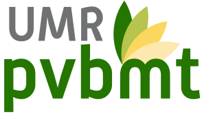 Peuplements végétaux et bioagresseurs en milieu tropical (PVBMT)