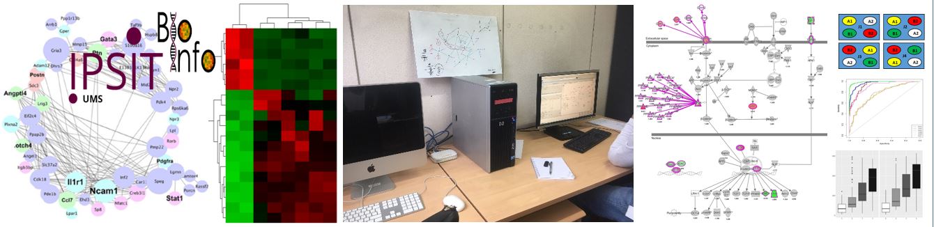 IPSIT / Bioinfo