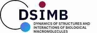 Dynamiques des structures et interactions des macromolécules biologiques (DSIMB)