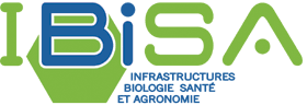 IBiSA