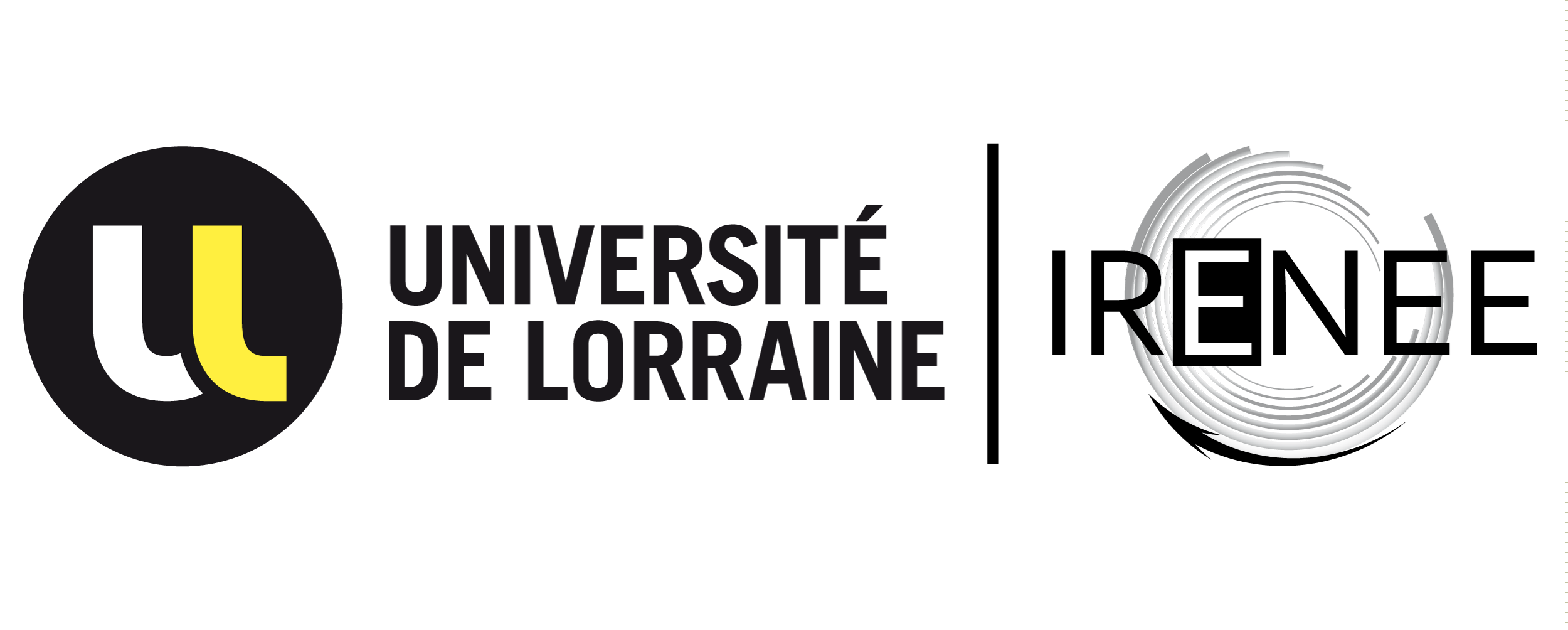 Institut de Recherches sur l'Evolution de la Nation Et de l'Etat