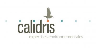 CALIDRIS