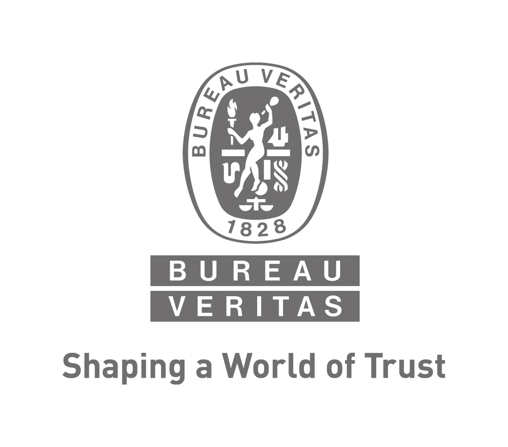 BUREAU VERITAS SOLUTIONS MARINE & OFFSHORE