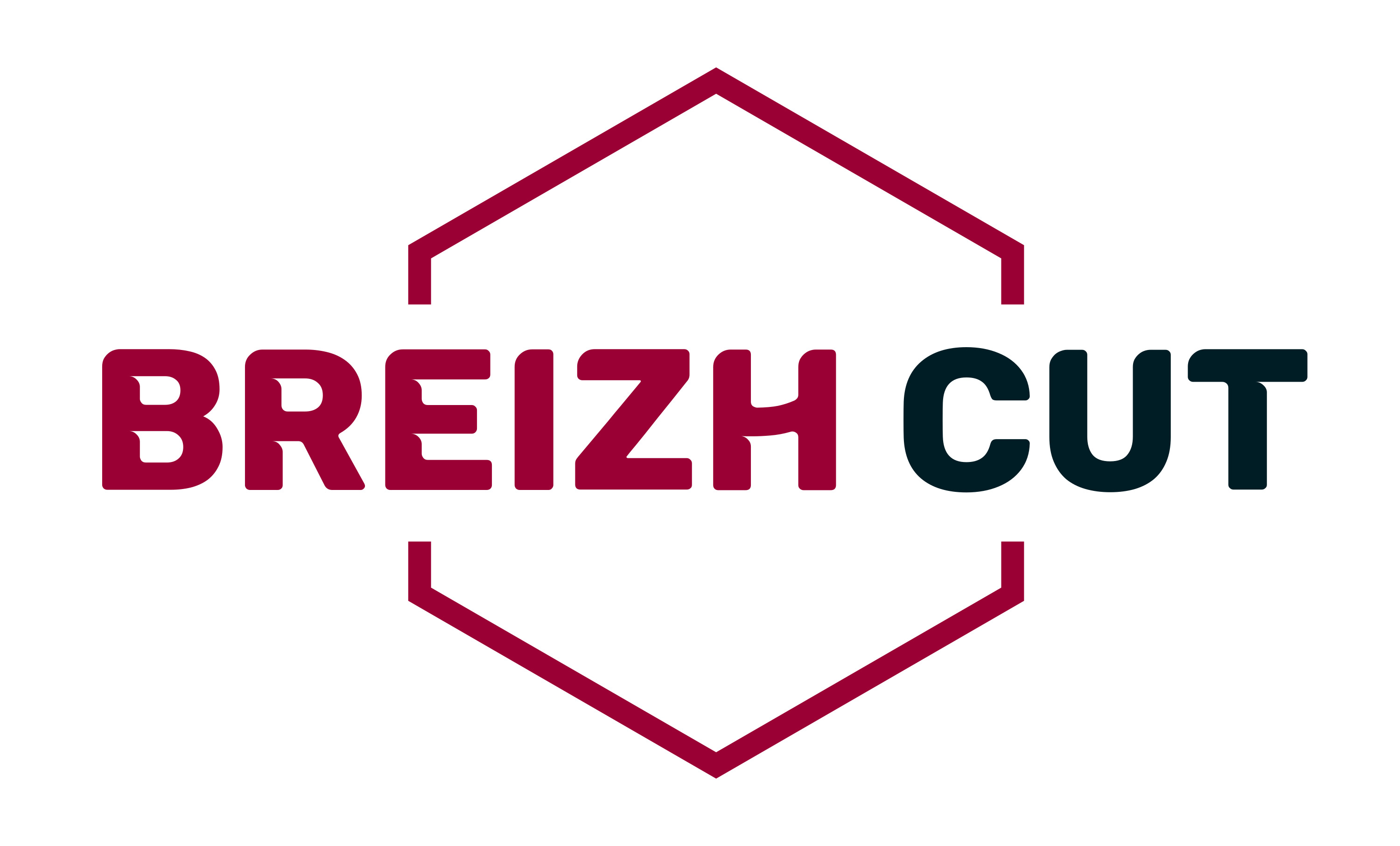 BREIZH CUT