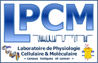 Laboratoire de Physiologie Cellulaire et Moléculaire