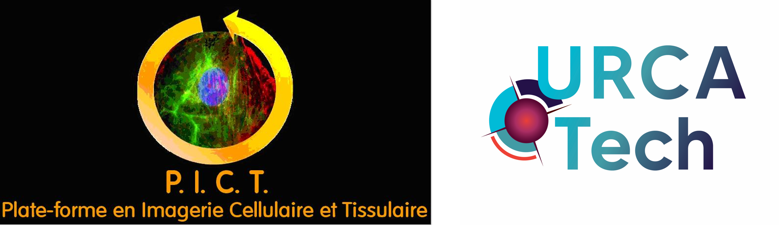 Plateforme d'Imagerie Cellulaire et Tissulaire (PICT)