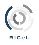 BioImaging Center Lille